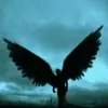immagine profilo del channel telegram di Fleet Italia