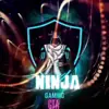 immagine profilo del group telegram di Ninja Gaming GTA🥷