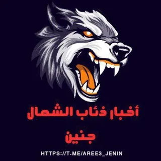 اخبار ذئاب الشمال_جنين✌️🇵🇸 - قناة Telegram