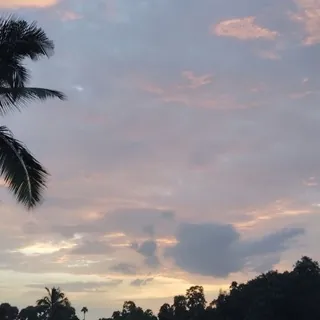 ʀɪᴛʜᴜʟ - Bot Telegram