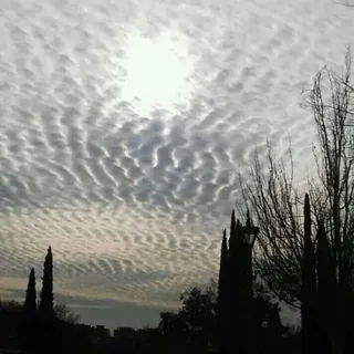 Chemtrails/Haarp/Wettermanipulation - Channel Telegram