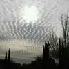 Profile picture: Chemtrails/Haarp/Wettermanipulation