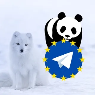 WWF Telegram Channel by GRT: World Wildlife Fund Europe / España / Deutschland / Italia / Russia / Australia / France /  - Channel Telegram