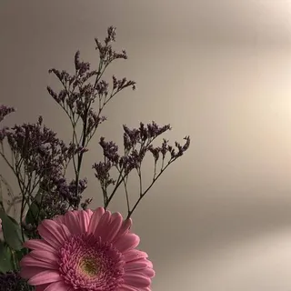 قسّوة سَندريلا. - قناة Telegram