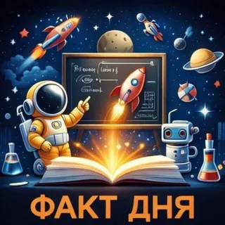 Факт дня - Canale Telegram