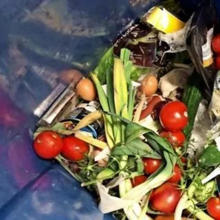 Containern in Dresden - Gruppe Telegram