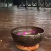 عکس پروفایل: 🕉🧚‍♀ کانال شفای زندگی 🧚‍♀🕉