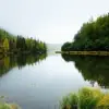 Foto de perfil: Ecología y medio ambiente