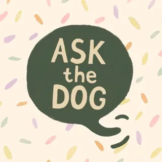 Ask the dog | Спросите собаку! - Canale Telegram