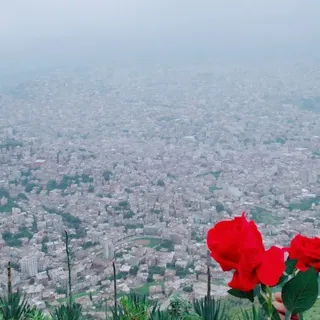 نَـفَــسِ ْعمٌـيَـــــقً ✨🖤 - قناة Telegram