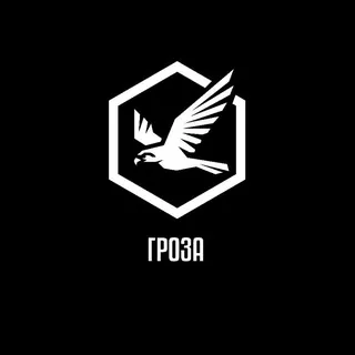 ВБС Гроза - Канал Telegram
