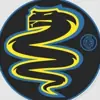 immagine profilo del group telegram di Nerazzurri