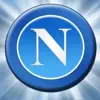 immagine profilo del channel telegram di News Calcio Napoli