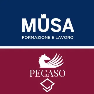 Polo Didattico Università Pegaso – Musa Formazione - Gruppo Telegram
