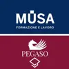 immagine profilo del group telegram di Polo Didattico Università Pegaso – Musa Formazione