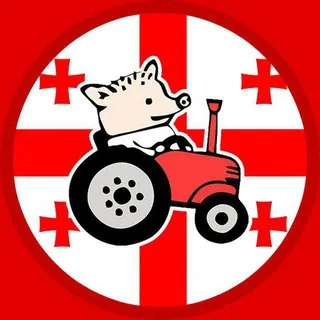 Новости в Грузии | ЖВГ | Тбилиси - Canale Telegram