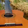 immagine profilo del group telegram di Chitarra Classica