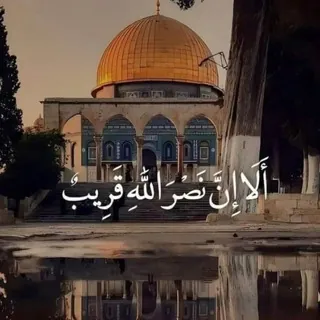 القراءة🌿حياة_أدب - مجموعة Telegram