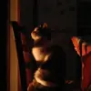 immagine profilo del channel telegram di Gatti rotti