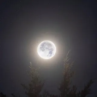 مُنتَقـيات🌻🤍. - قناة Telegram