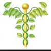 immagine profilo del channel telegram di Medicina Ortomolecolare Naturale & Complementare