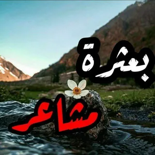 بعــْـ̡͡ــــ๋͜ــْـثرهہ💞مــْـ̡͡ــــ͜شـآعــْـ̡͡ــْـر - قناة Telegram