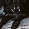 immagine profilo del group telegram di Wolvesville Italia 🖤