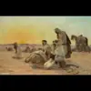صورة الملف الشخصي: طرائف الأعراب