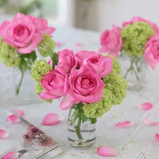 💕•°همسة محبة •°💕 - قناة Telegram