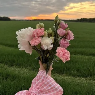 رَاء 🌿 - قناة Telegram