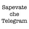 immagine profilo del channel telegram di Sapevate che Telegram