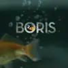 immagine profilo del channel telegram di Gif da Boris