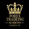 immagine profilo del group telegram di 📚Forex trading Academy💸
