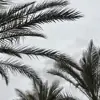 صورة الملف الشخصي: ?