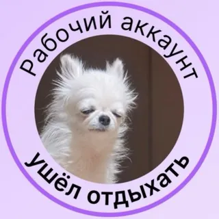 [ОТПУСК ДО 6-ГО ОКТЯБРЯ] María S - Бот Telegram