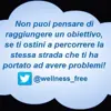 immagine profilo del bot telegram di Wellnessfree