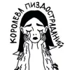 immagine profilo del channel telegram di Жидковские посиделки
