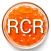 Profile picture: Learn RCRussian🤍💙❤️