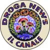 immagine profilo del channel telegram di Droga News