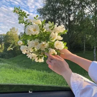 All your thoughts here. - قناة Telegram