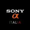 immagine profilo del group telegram di Sony α Italia