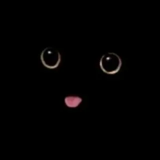 Schrodinger's Cat - Bot Telegram
