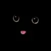 Profile picture: Schrodinger's Cat