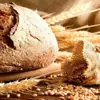 immagine profilo del channel telegram di panequotidiano