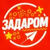 immagine profilo del channel telegram di Задаром
