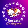 Profile picture: RESCATA CARTAGENA 🐶🐹🐰 [J]