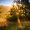 Profilbild: Heilkraft - Energetik der Natur