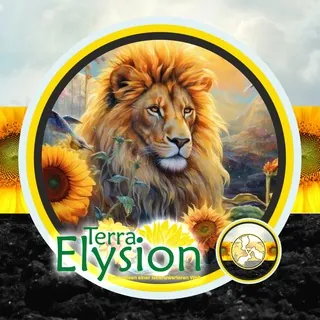 Terra Elysion • Sichtweisen einer lebenswerteren Welt - Kanal Telegram