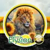 Profilbild: Terra Elysion • Sichtweisen einer lebenswerteren Welt