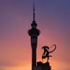 immagine profilo del channel telegram di Alien in NZ. Чужой в Новой Зеландии